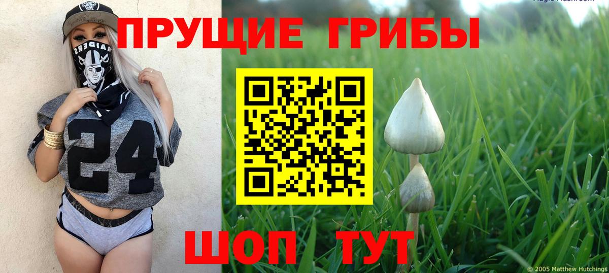 Псилоцибиновые грибы мухоморы Донской